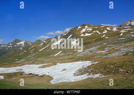 Snow patches on ground in summer in  the Vallee des Especieres, Pyrenees National Park, Hautes Pyrenees, France, July 2013. Stock Photo