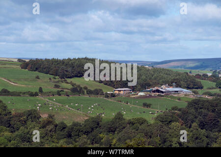 View of countryside with farm buildings, grazing pasture and high moorland in distance, North York Moors National Park, England, UK, September 2013. Stock Photo