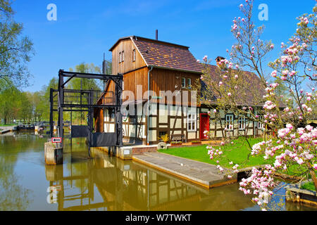 Raddusch Mill, Spree Forest in spring, Brandenburg Stock Photo