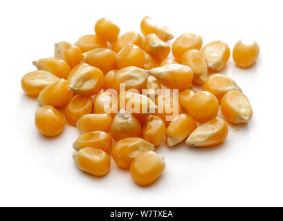 Heap of golden corn grains isolated on white background Stock Photo