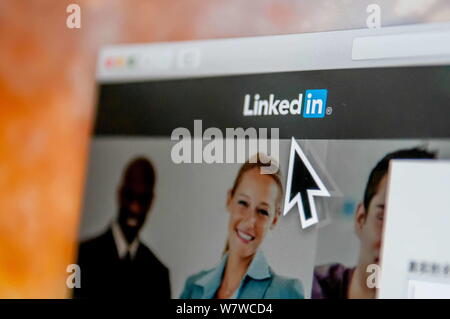 --FILE--A netizen browses the Chinese website of professional social networking site LinkedIn in Guangzhou, south China's Guangdong province, 14 June Stock Photo