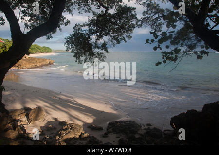 Caribbean beach of playa maguana in Baracoa Stock Photo - Alamy