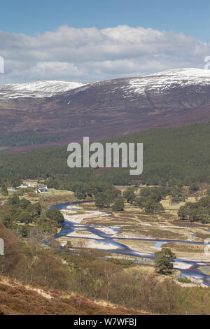 View across River Feshie in late winter, Glenfeshie, Cairngorms National Park, Scotland, May 2013. Stock Photo