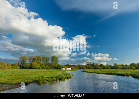 View of the River Test at Chilbolton Cow Common, Hampshire, England, UK, May 2012. Stock Photo