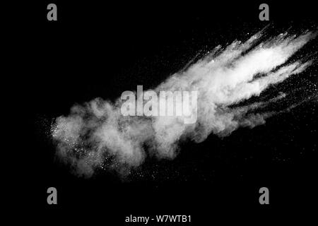 White talcume powder explosion on black background. White dust splashing. Stock Photo