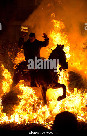 Young man jumping through fire to purify his horse, during the Luminarias festival, held every January in San Bartolome de Pinares, Avila Province, Castile and Leon, Spain, January 2014. Stock Photo