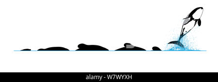 Illustration of the diving and breaching of Hector’s Dolphin (Cephalorhynchus hectori). Stock Photo