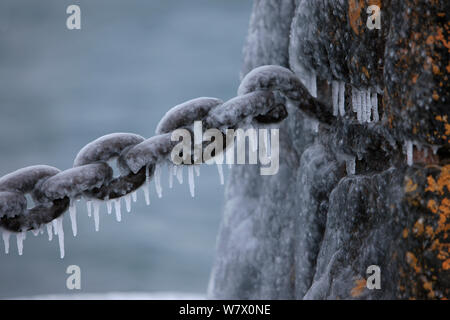 Ice covering old rusty chain & stone barrier, Lake Superior, Gooseberry Falls State Park, Minnesota, December. Stock Photo