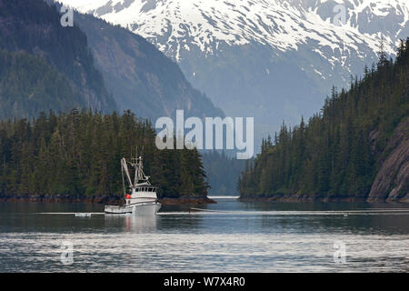 Salmon fishing boat, Prince William Sound, Alaska, USA. June 2013. Stock Photo