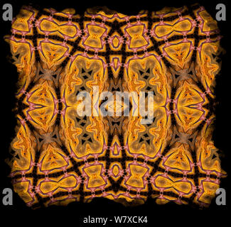 Kaleidoscope pattern formed from picture of Bearded Dragon (Pogona vitticeps) EMBARGOED FOR NAT GEO UNTIL the end of 2015 Stock Photo