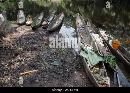 Dugout wooden canoes on bank of river, Salonga National Park, Equateur, Democratic Republic of the Congo, May 2012. Stock Photo