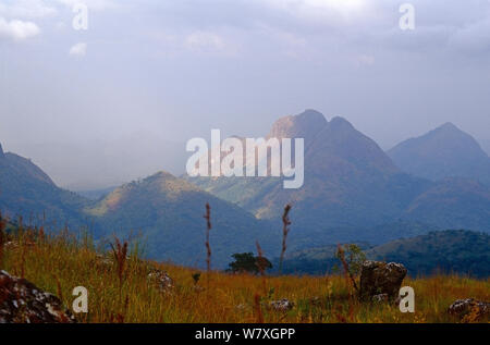 Loma mountains and Bintumani, viewed from Sankanbiriwa. Sierra Leone, 2004-2005. Stock Photo