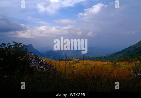 Loma mountains and Bintumani, viewed from Sankanbiriwa. Sierra Leone, 2004-2005. Stock Photo