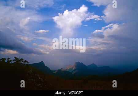 Loma mountains and Bintumani, viewed from Sankanbiriwa. Sierra Leone, 2004-2005. Stock Photo