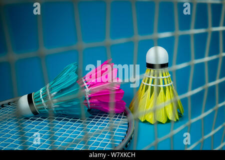 Colorful feathered shuttlecocks in blue, yellow and pink with a badminton net and racket on a blue background in a close up view Stock Photo