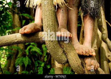 Close up of feet of children playing in the branches of a tree. Tanna Island, Tafea Province, Vanuatu, September 2008. Stock Photo