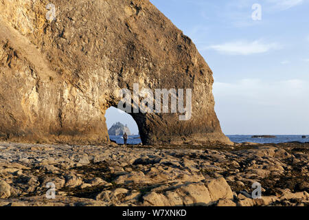 Hole-in-the-Wall, Rialto Beach, Olympic National Park, Washington, USA, May 2014. Stock Photo