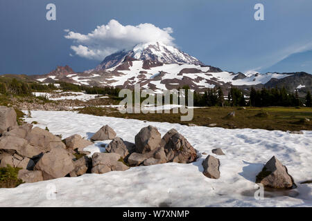 Mount Rainier viewed from Spray Park, Mount Rainier National Park, Washington, USA, August 2014. Stock Photo