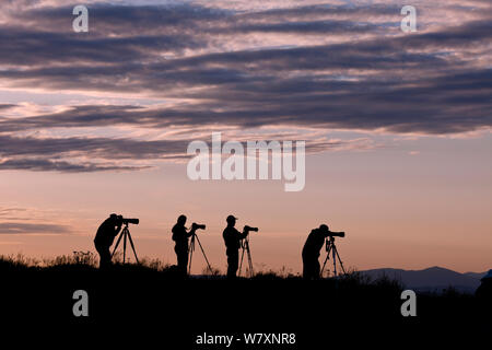 Photographers silhouetted  at sunrise on Steptoe Butte, Steptoe Butte State Park, Whitman County, Washington, USA, June 2014. Stock Photo