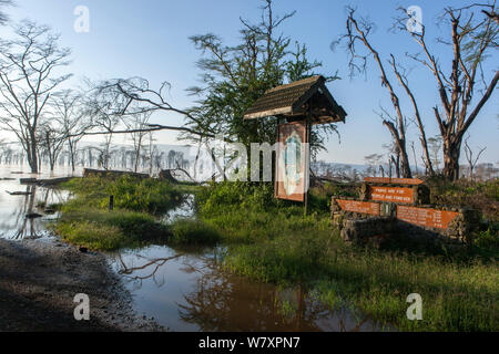 Yellow-fever acacia trees (Acacia xanthophloea) with map and sign flooded by Lake Nakuru, Nakuru National Park, May 2013. Stock Photo