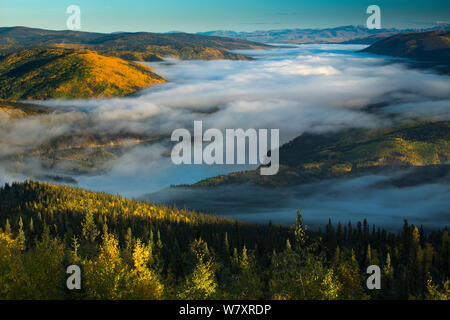Mist filled valley of the Yukon River at dawn, near Dawson City, Dome Hill, Yukon Territories, Canada, September 2013. Stock Photo