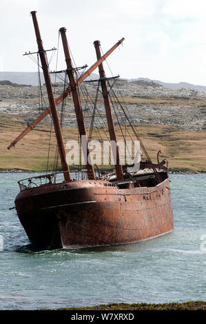 Lady Elizabeth shipwreck, Whale Bone Cove, Falkland Islands. The ship was built in Sunderland, England, and launched on the 6th June 1879. March 2014. Stock Photo