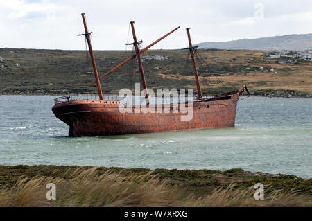 Lady Elizabeth shipwreck, Whale Bone Cove, Falkland Islands. The ship was built in Sunderland, England, and launched on the 6th June 1879. March 2014. Stock Photo