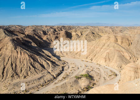 Eroded and dry river bed in desert, Anza-Borrego national park, California, USA, May. Stock Photo