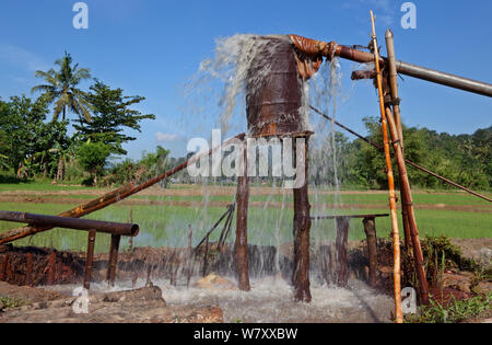 Drainage system for gemstone mine shafts under paddy fields, Ratnapura, Sri Lanka, December 2012. Stock Photo