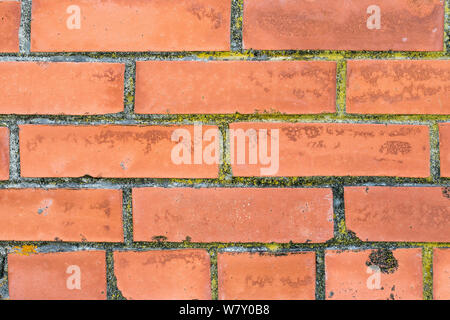 Orange brick wall close-up. Can be used as background Stock Photo