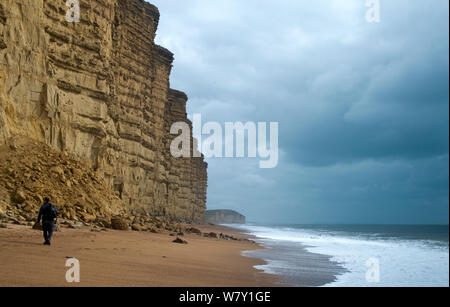 A cliff fall of Bridport sandstone, West Bay, Bridport, Dorset, UK, August 2012. Stock Photo