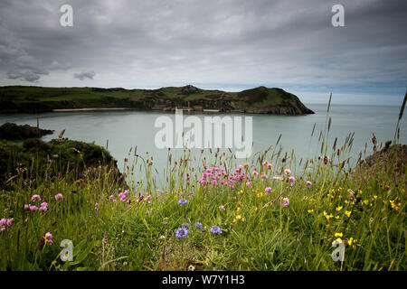 View of coast and abandoned brick works at Porth Wen, Anglesey, Wales, October 2012. Stock Photo