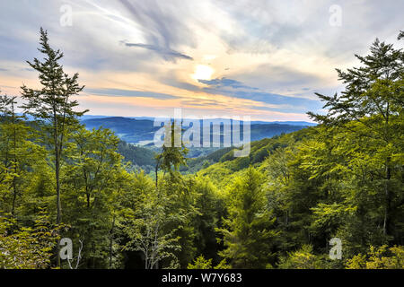 green lush summer hills forestscape Stock Photo