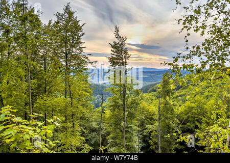 green lush summer hills forestscape Stock Photo