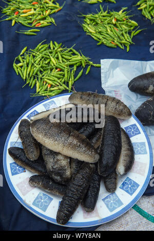 Sea cucumbers (Holothuroidea) for sale, Suva Seafood Market, Viti Levu, Fiji, South Pacific, April 2014. Stock Photo