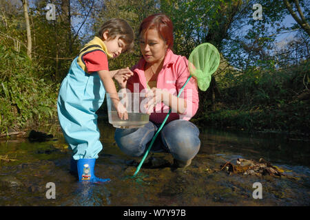 Young boy reaching into plastic tank held by his mother for Pond snails he has caught whilst fishing in stream, Bristol, UK, October 2014. Model released. Stock Photo