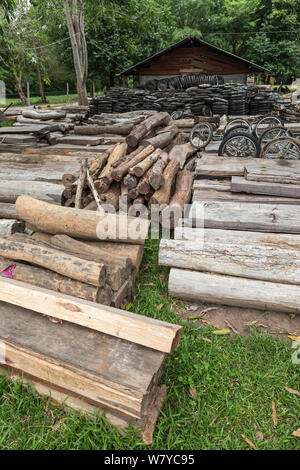 Siam rosewood tree (Dalbergia cochinchinensis) timber and motorcycle wheels, confiscated from poachers, stored as evidence, Thap Lan National Park, Dong Phayayen-Khao Yai Forest Complex, eastern Thailand, August. Stock Photo