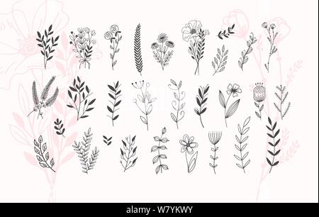 minimalistic flower graphic sketch drawing, trendy tiny tattoo design, floral botanic elements vector illustration Stock Vector Image & Art - Alamy