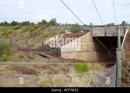 Underpass built for African elephants (Loxodonta africana) to migrate under the busy Nanyuki-Meru road, northern Kenya. Stock Photo