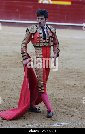 Bull fight. Bull fighter in the Plaza de Toros, Granada, Andalusia ...