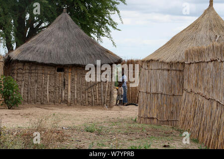 Lozi village huts, Sioma Nqwezi Park, Zambia. November 2010. Stock Photo