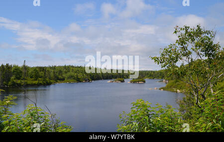 Summer in Nova Scotia: Beautiful Lake Along Lighthouse Route Near Halifax Stock Photo