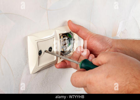 The screws the screw in the socket. Stock Photo