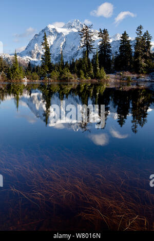 Mount Shuksan reflected in Picture Lake, Heather Meadows National Recreation Area, Washington, USA, November 2014. Stock Photo