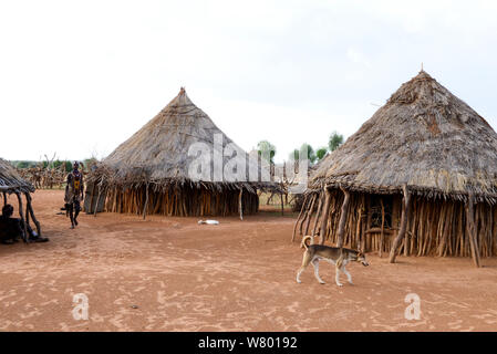 Hamer village, with traditional houses Lower Omo Valley. Ethiopia, November 2014 Stock Photo