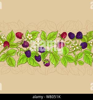 boysenberry vector pattern on color  background Stock Vector
