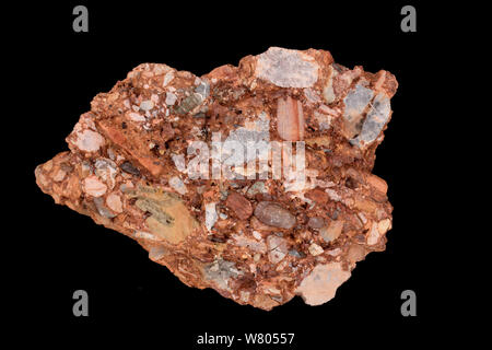 Leesburg conglomerate rock, sedimentary polymictic conglomerate. Formed in the rift valley formed when the African plate split from the North American plate in the Triassic, found near Leesburg, Virginia, USA. Stock Photo