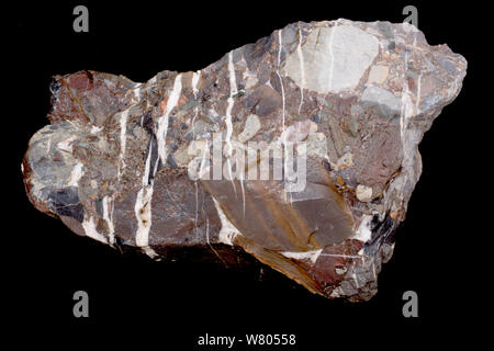 Leesburg conglomerate rock, sedimentary polymictic conglomerate. Formed in the rift valley formed when the African plate split from the North American plate in the Triassic, found near Leesburg, Virginia, USA. Stock Photo