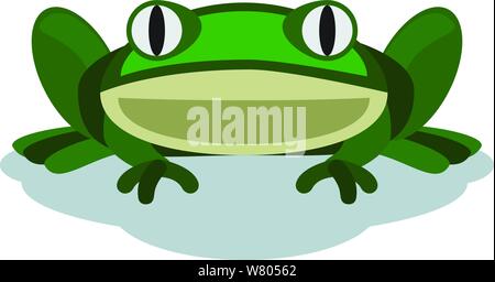 Frog with big eyes & empty stair siting stairing at the viewer. Stock Vector