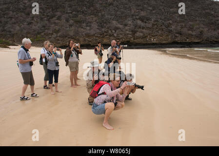 Tourists taking photographs on beach, Floreana Island. Galapagos, December 2014. Stock Photo